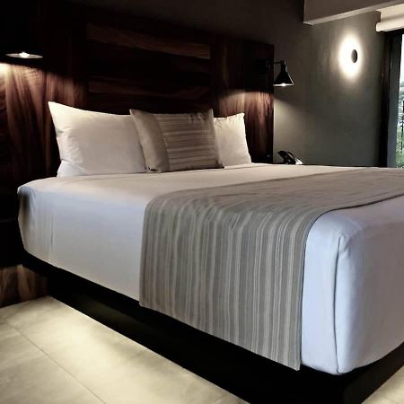 4 Charming Suite King Rooms In Luxurious Boutique Hotel San José del Cabo Exterior photo