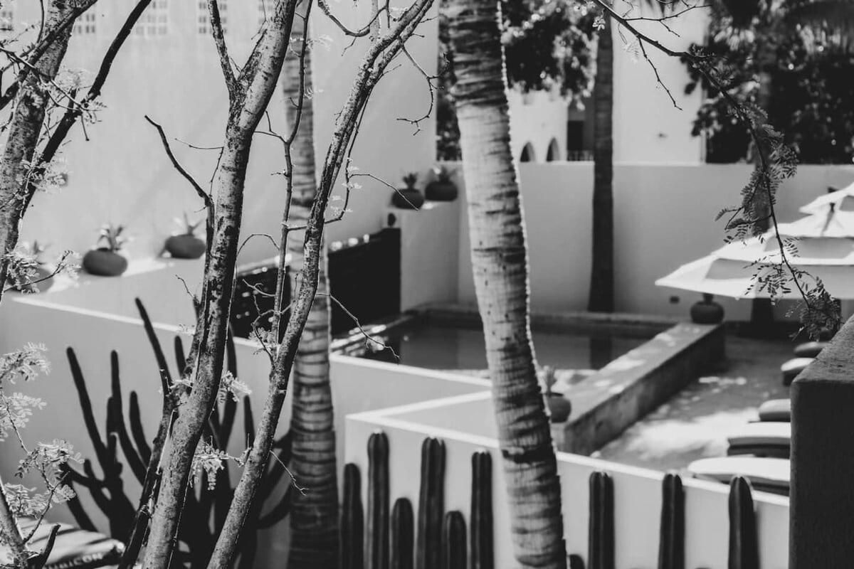 4 Charming Suite King Rooms In Luxurious Boutique Hotel San José del Cabo Exterior photo
