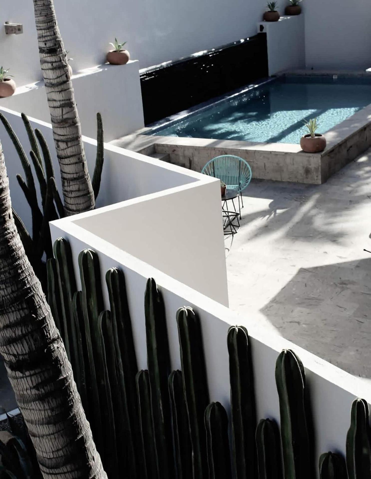 4 Charming Suite King Rooms In Luxurious Boutique Hotel San José del Cabo Exterior photo